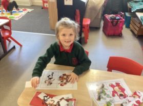 Toys Topic - Mrs Walsh’s Class 