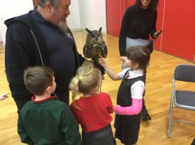 Owl visit - Mrs Peoples 🦉