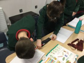 Practising our measuring skills in P5 R8