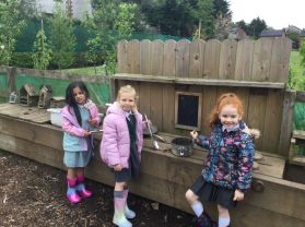 Play-Based Learning in the Outdoor Zone